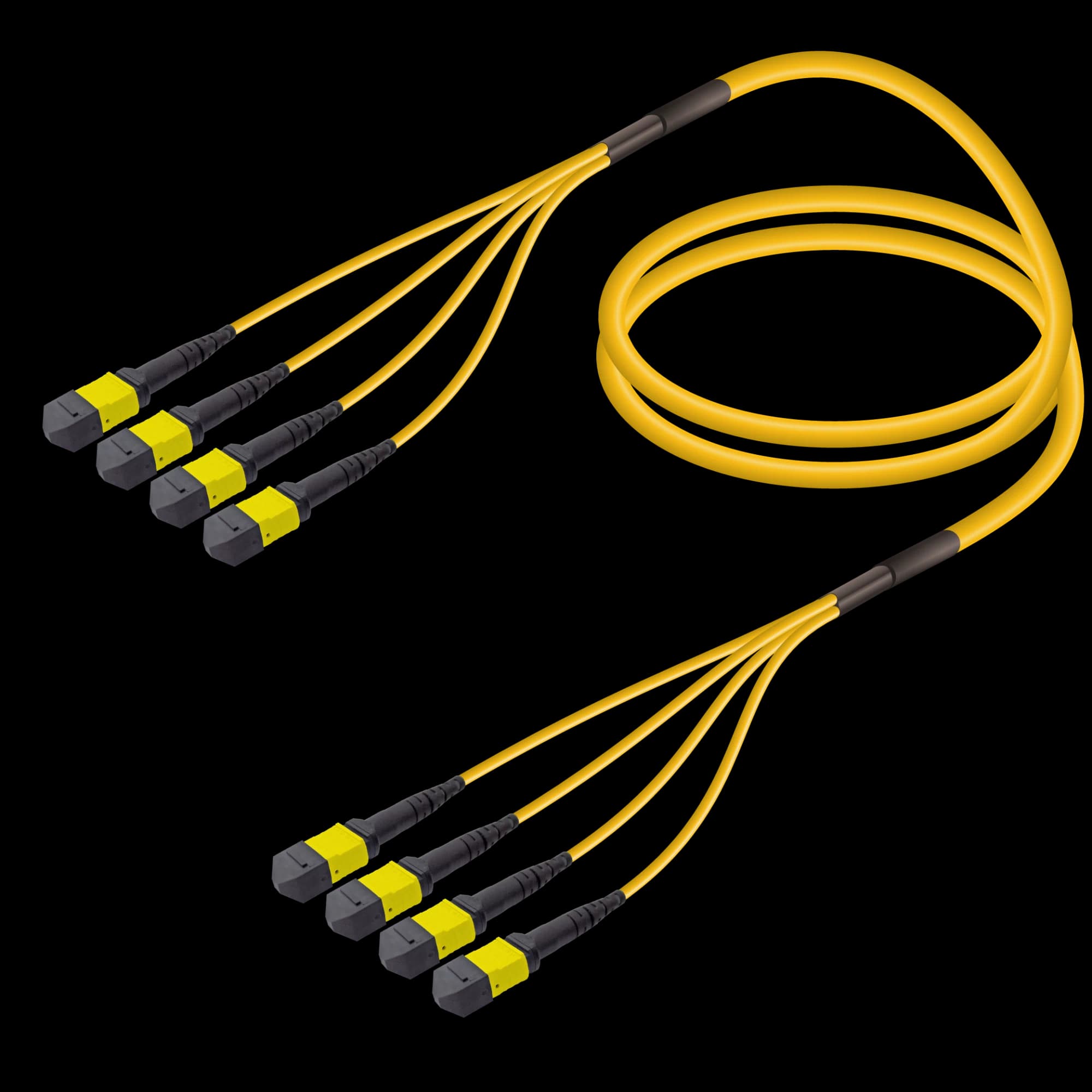 4xMTP to 4xMTP Single-mode Breakout