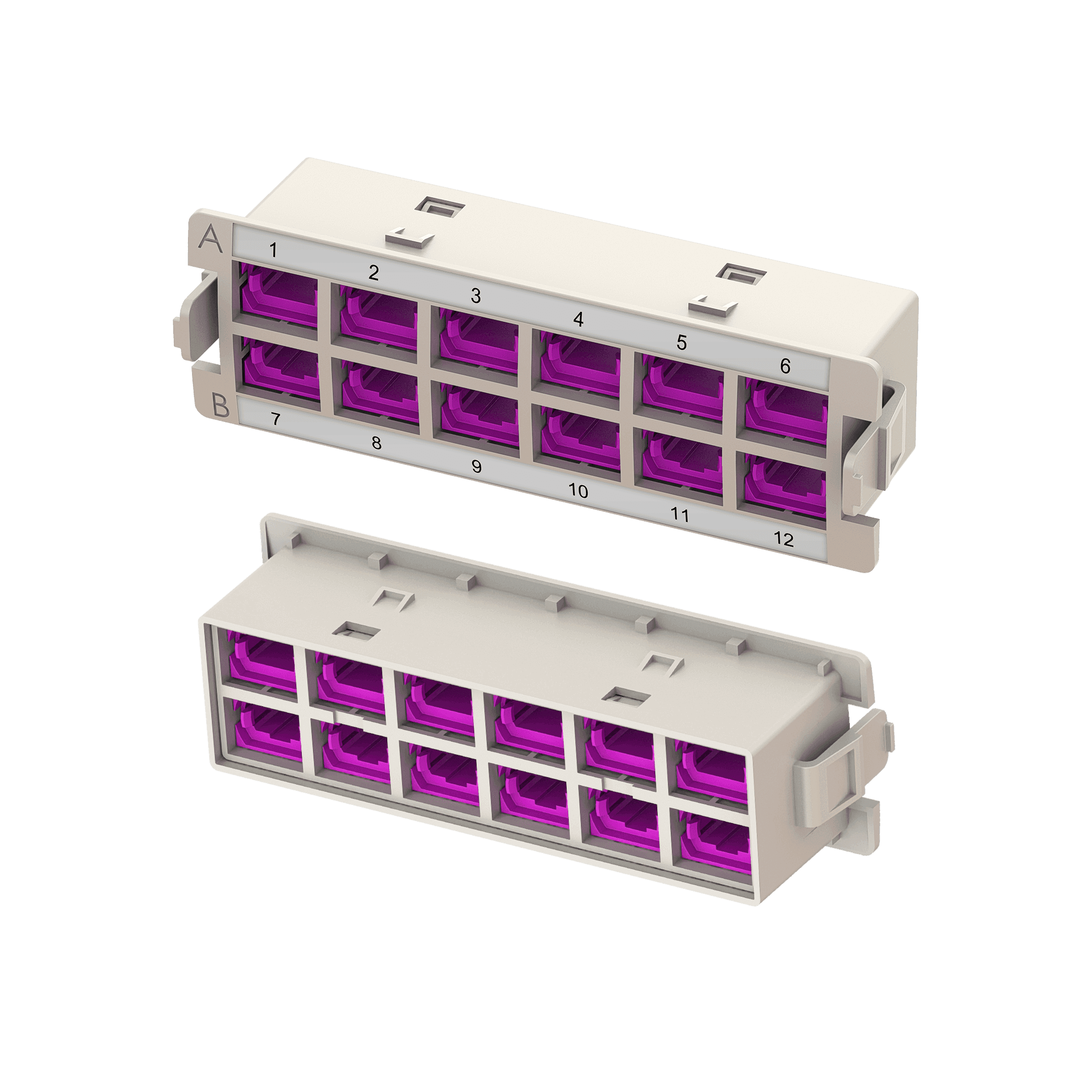 HD MTP Adapter Module | 12 MTP, vista 2