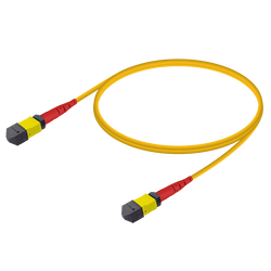 MTP Elite Female-Female Patch Cord | Base-24 | Single Mode G657.A2 | 3.0mm, vista 2