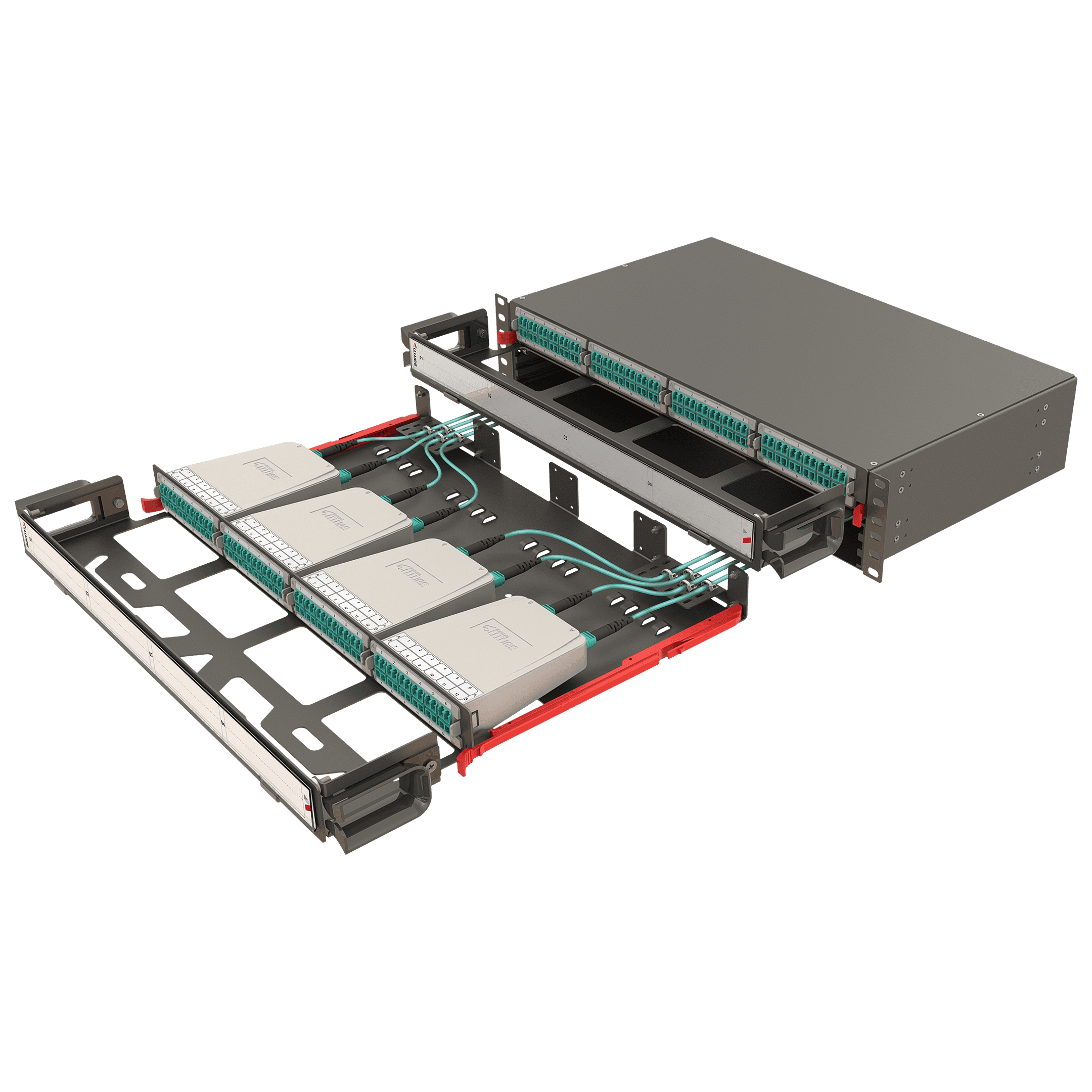 Modular High Density Panel with Organizer | 2U 8 Slots, vista 4