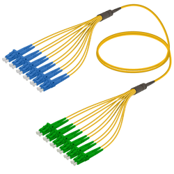 LC/UPC-LC/APC | 12 Fibers Fanout | Single Mode G657.A2 | 3.0/1.8mm, vista 2