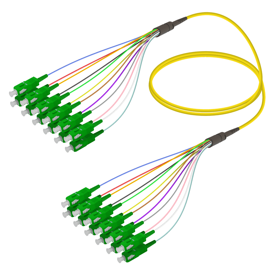 SC/APC-SC/APC | 12 Fibers Fanout | Single Mode G657.A2 | 3.0/0.9mm