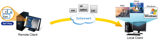 IKVM-210-08 — 8-Port Combo IP KVM Switch, vista 6
