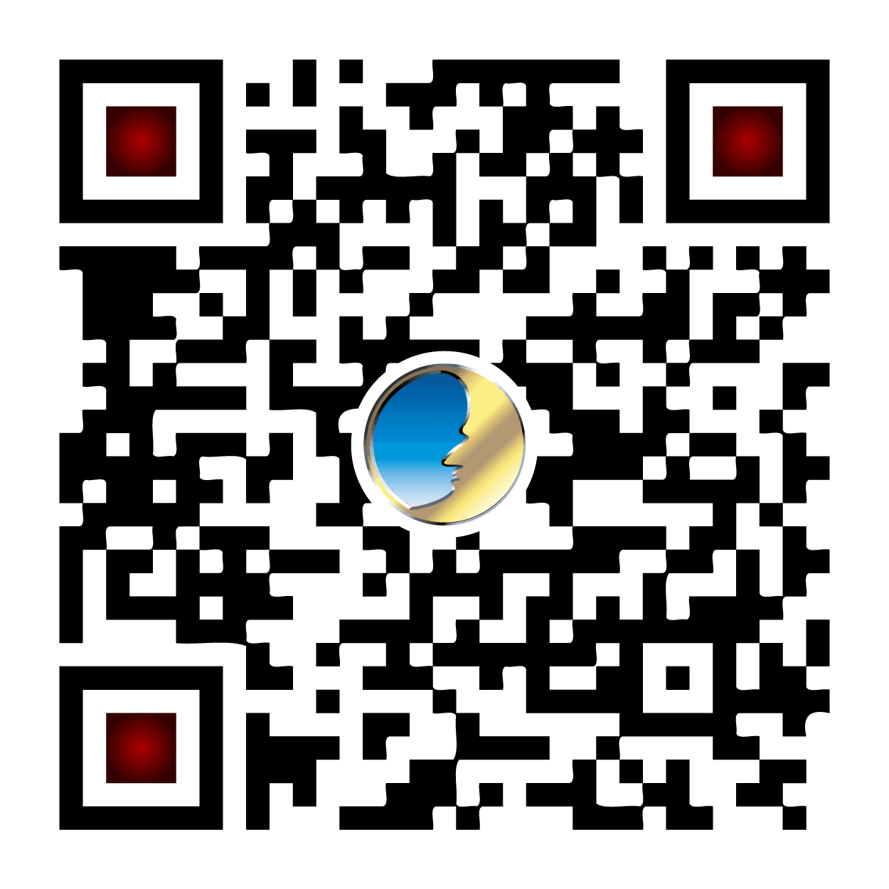aNVR / aNVR Viewer — NVR Viewer for Android Mobile Devices, vista 2