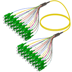 SC/APC-SC/APC | 24 Fibers Fanout | Single Mode G657.A2 | 3.0/0.9mm, vista 2