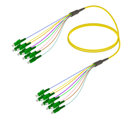 LC/APC-LC/APC | 8 Fibers Fanout | Single Mode G657.A2 | 3.0/0.9mm, vista 2