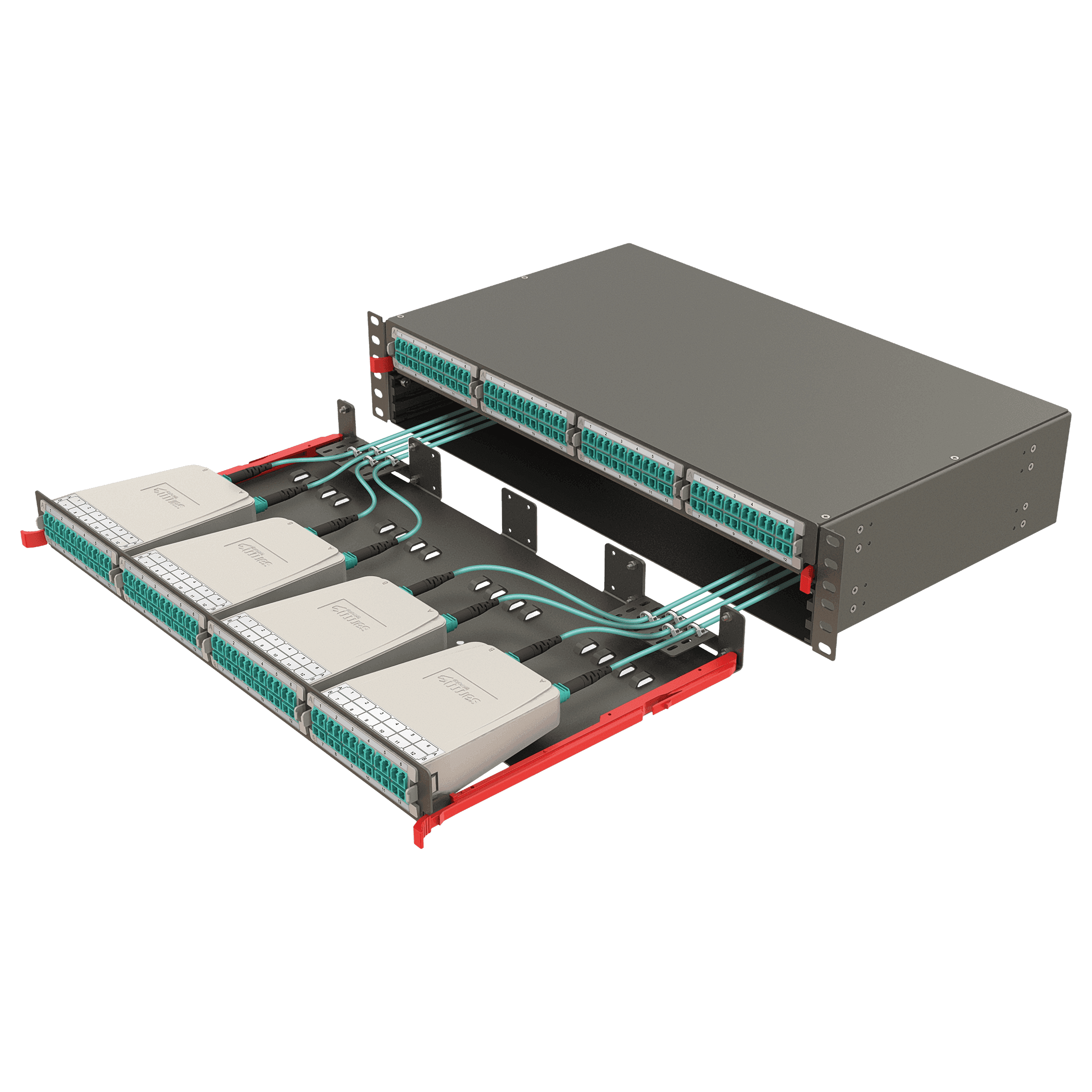 Modular High Density Panel | 2U 8 Slots, vista 4