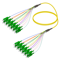 SC/APC-SC/APC | 12 Fibers Fanout | Single Mode G657.A2 | 3.0/0.9mm, vista 2